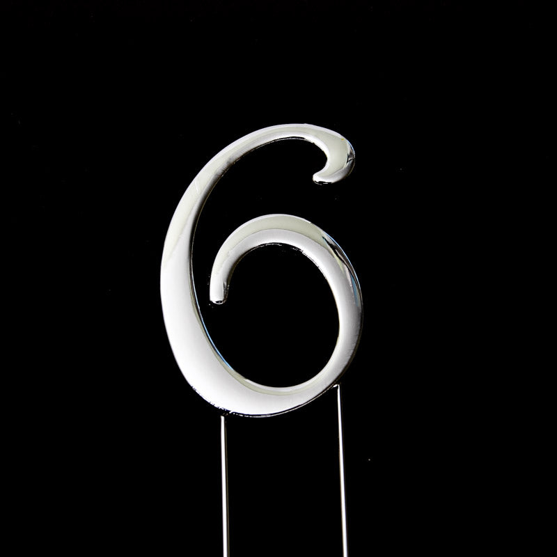 Metal Cake Topper - Silver Number 6