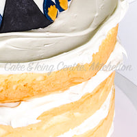Cake Mix - Classic Vanilla 700g