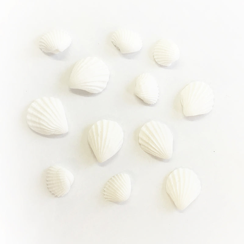 Fondant Decorations - White Seashells