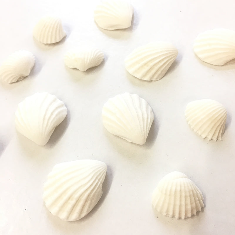 Fondant Decorations - White Seashells – Studio Cakes
