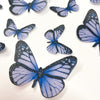 Wafer Butterflies