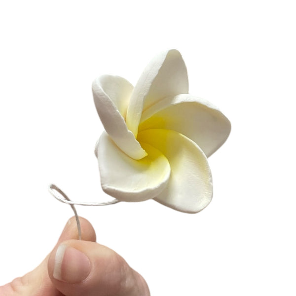 Sugar Flowers - Frangipani (Wired)