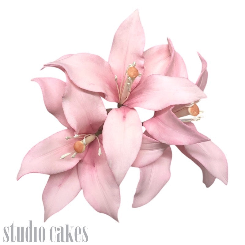 lily sugar flower Sugar Flowers