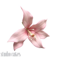 Sugar Flowers - Oriental Lily