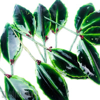 Christmas Ornament - Holly Leaves (Bunches of 12)