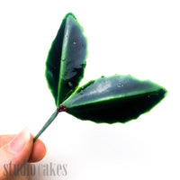 Christmas Ornament - Holly Leaves (Bunches of 12)