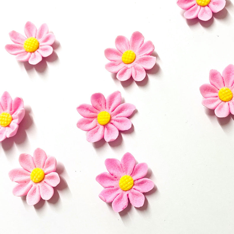 Sugar Flowers - Daisy blooms  - Pink (10pk)