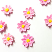 Sugar Flowers - Daisy Blooms (10pk)