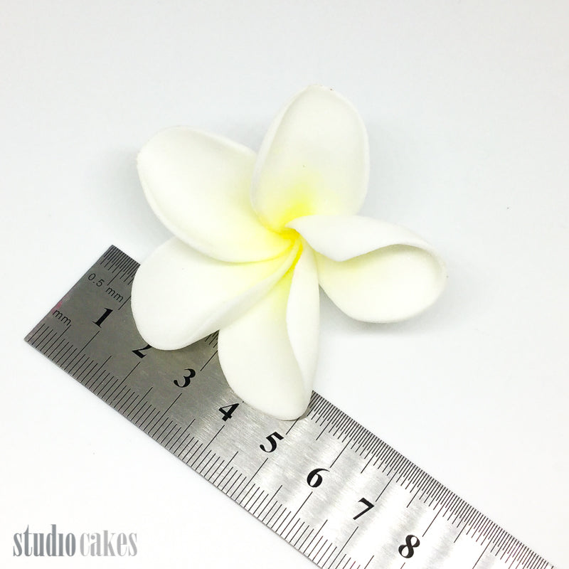 Sugar Flowers - Frangipani
