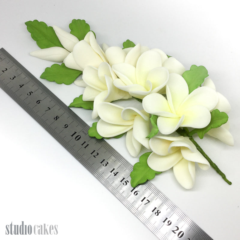 Sugar Flowers - Frangipani Spray