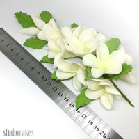 Sugar Flowers - Frangipani Spray