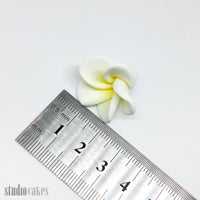 Sugar Flowers - Frangipani