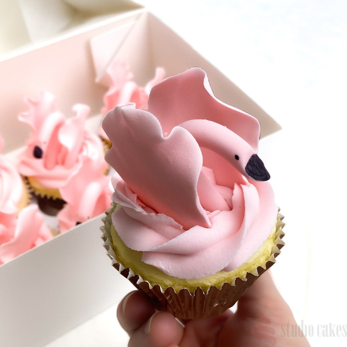 Swanning Around Cupcakes