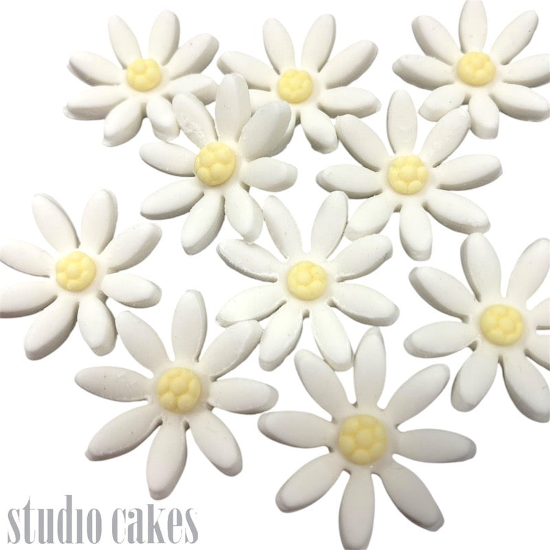 Sugar Flowers - Daisy Blooms (10pk)