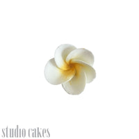 Sugar Flowers - Frangipani