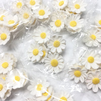 Sugar Flowers - Daisy Blooms (10pk)