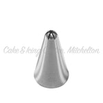 Stainless Steel Piping Nozzle - Closed Star #26