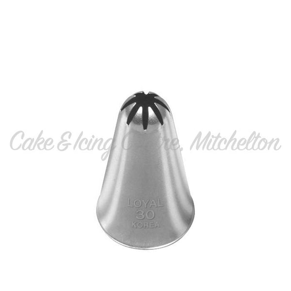 Stainless Steel Piping Nozzle - Closed Star #30