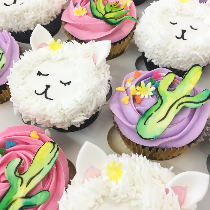No Drama Llama - Cupcake Care Packages – Studio Cakes