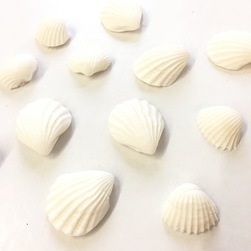 Fondant Decorations - White Seashells