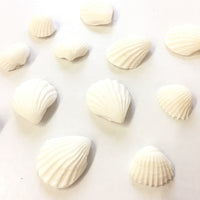 Fondant Decorations - White Seashells