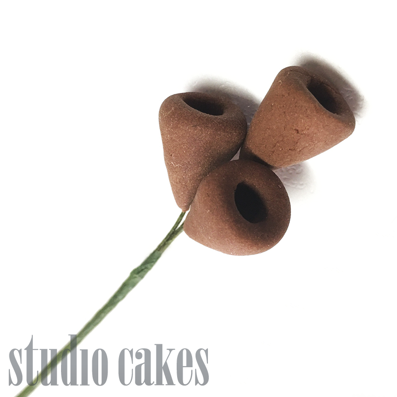 Sugar Flowers - Gumnut Sprigs