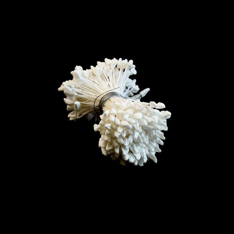 Flower Stamens - White Hammerhead