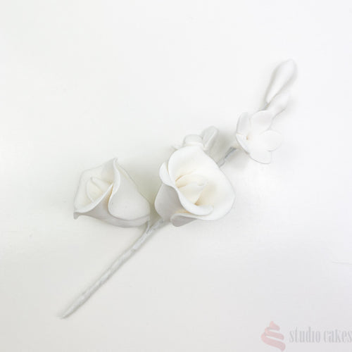 Sugar Roses - Filler Spray