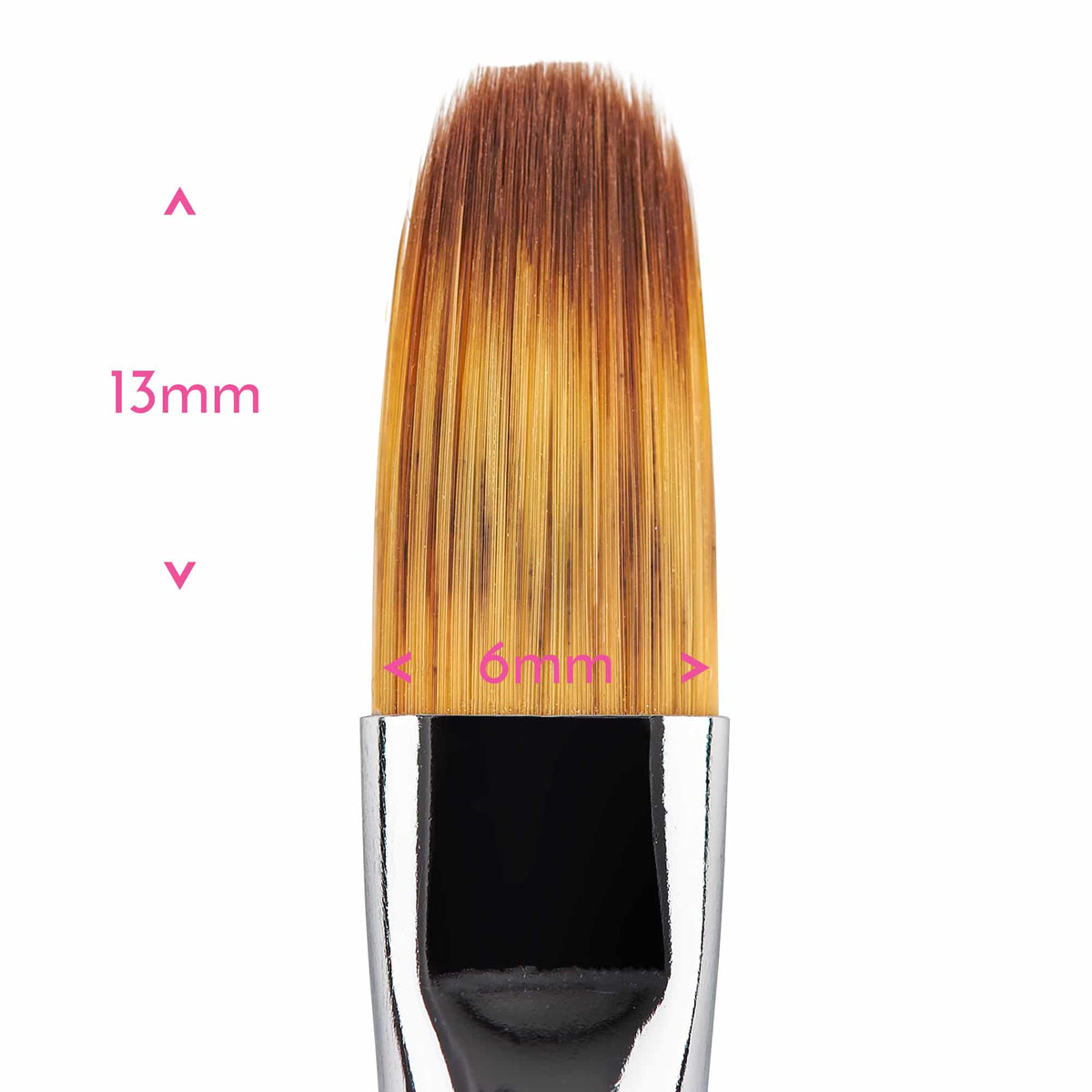 Paint Brush - Filbert #2