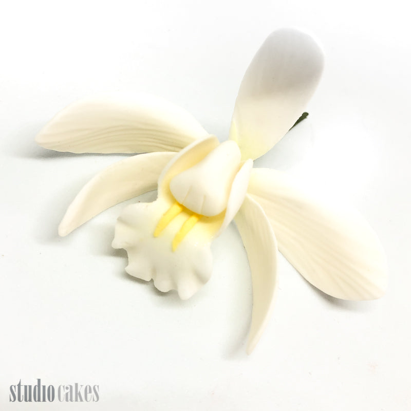 Sugar Flowers - Cymbidium