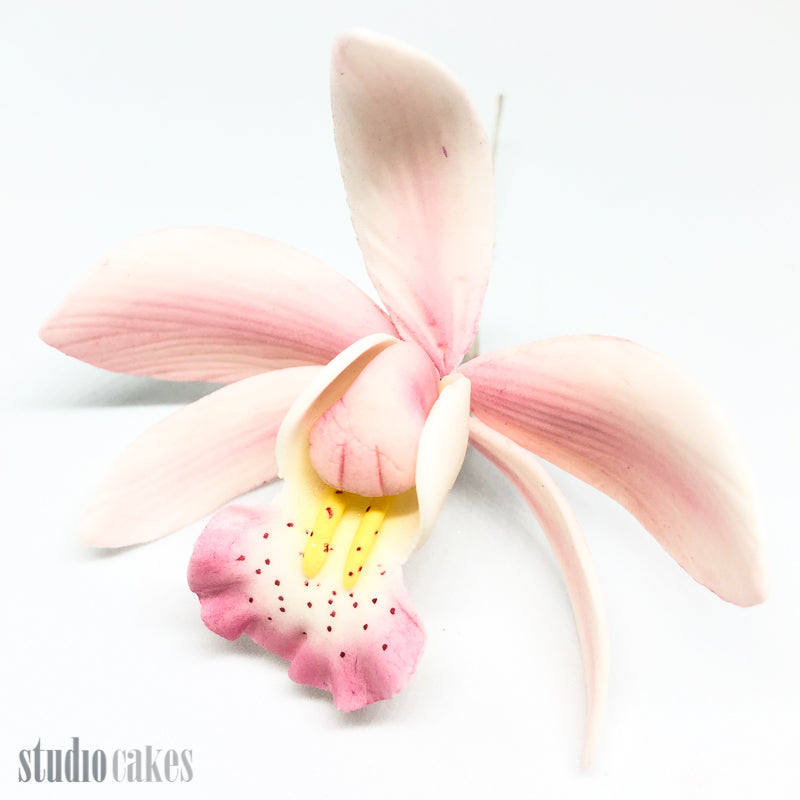Sugar Flowers - Cymbidium