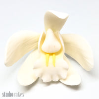 Sugar Flowers - Cymbidium