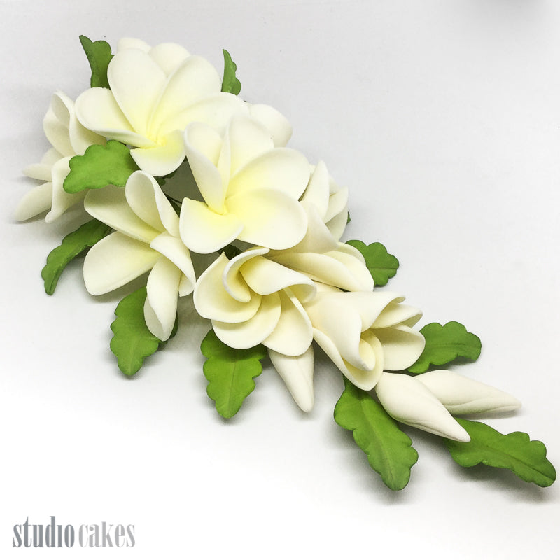 Sugar Flowers - Frangipani Spray