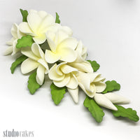 Sugar Flowers - Frangipani Spray