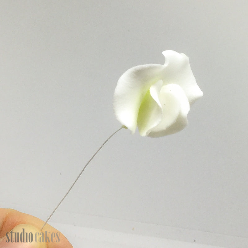 Sugar Flowers - Sweet Pea