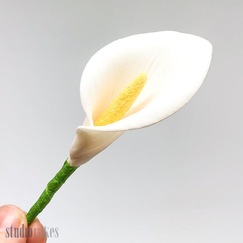 Sugar Flowers - Arum Lily
