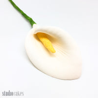 Sugar Flowers - Arum Lily