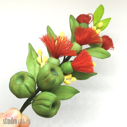 Sugar Flowers - Gumnut & Wattle Spray