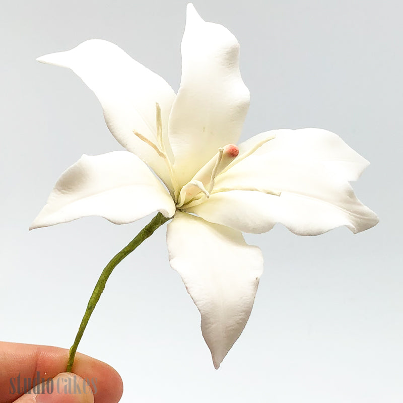 lily sugar flower Sugar Flowers