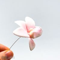 Sugar Flowers - Singapore Orchids