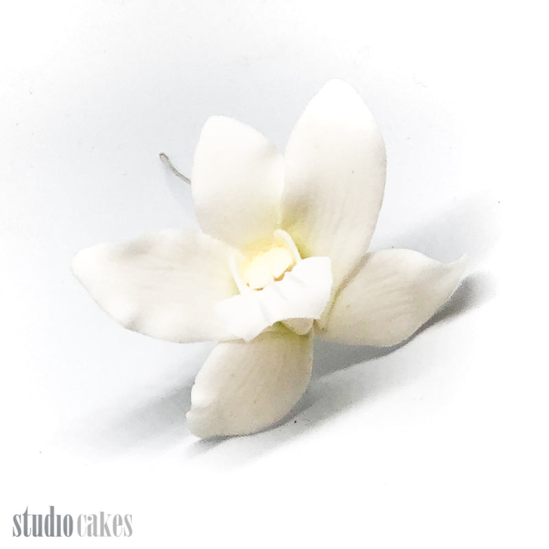 Sugar Flowers - Singapore Orchids
