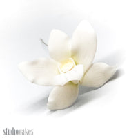 Sugar Flowers - Singapore Orchids