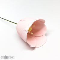 Sugar Flowers - Tulips