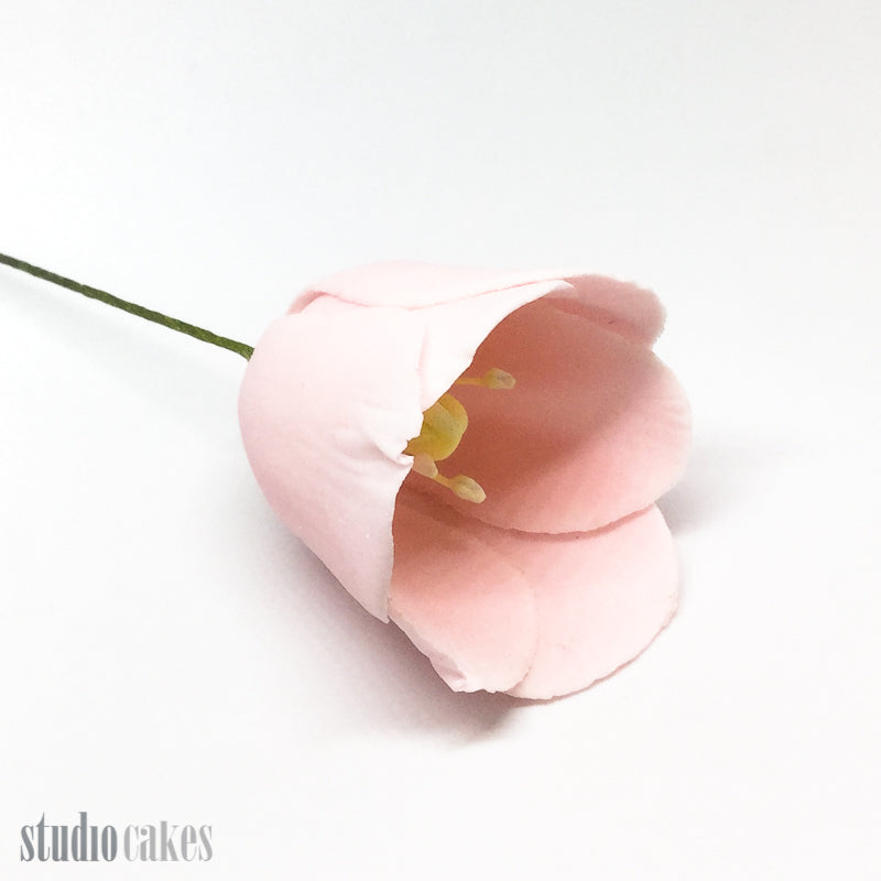 Sugar Flowers - Tulips