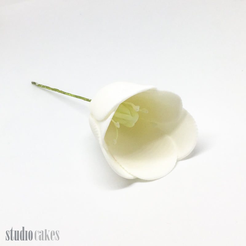 Sugar Flowers - Tulips