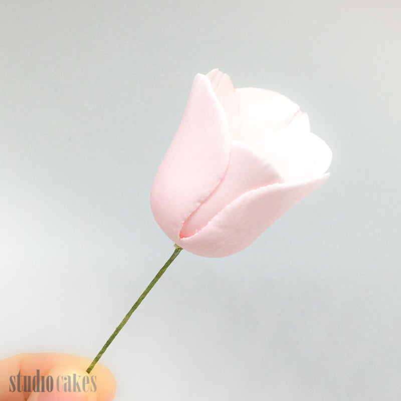 Sugar Flowers - Tulips