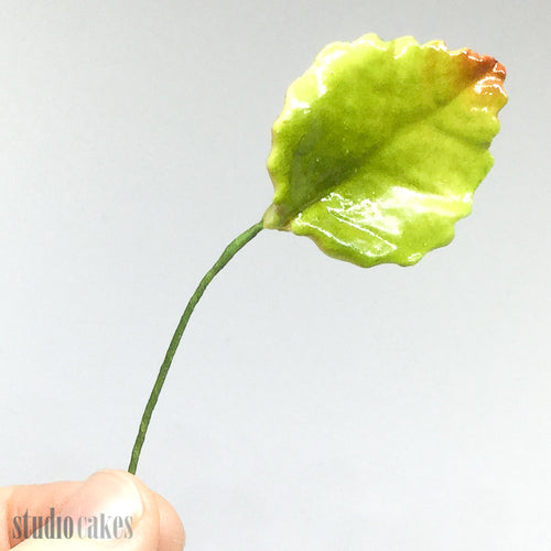 Sugar Leaves - Glossy Autumn