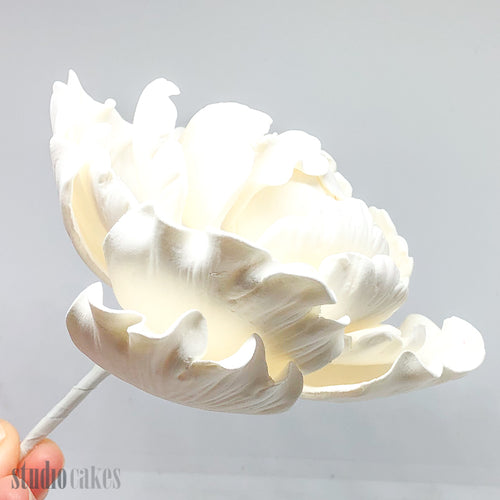 Sugar Flowers - Peony