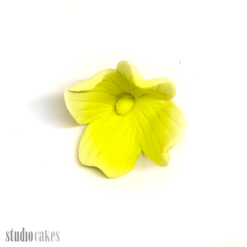 Sugar Flowers - Individual Hydrangeas