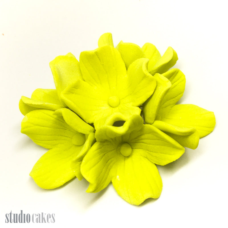 Sugar Flowers - Hydrangeas